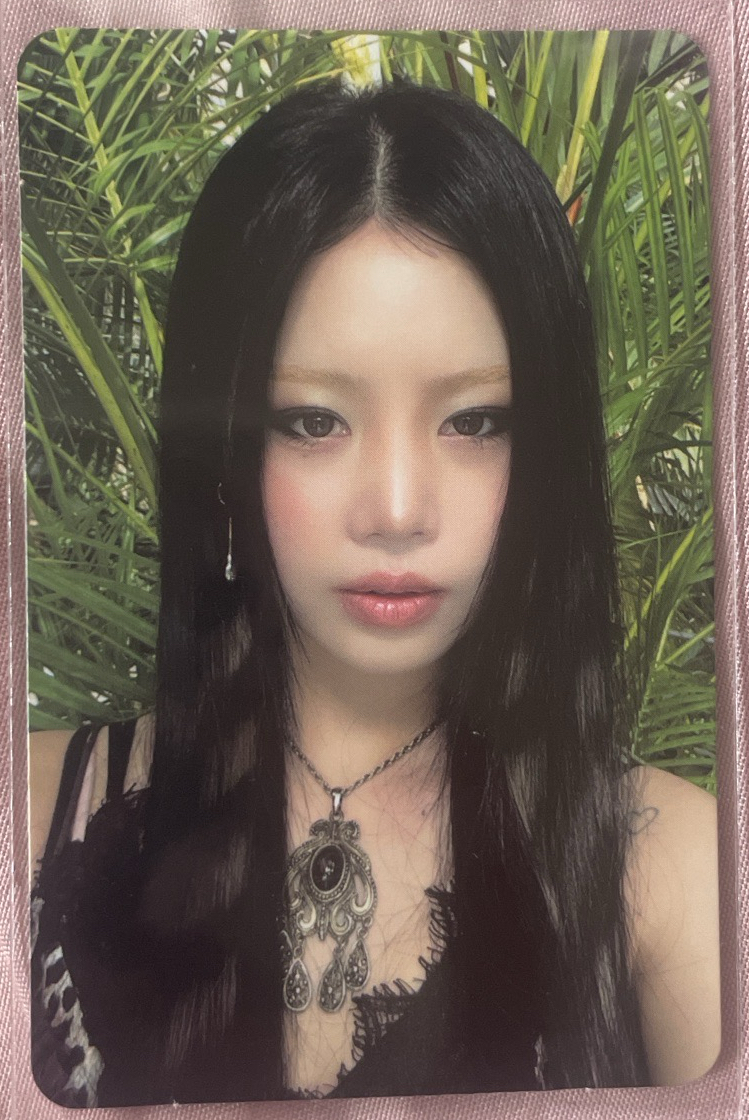 RIZZ 專輯卡 ver.Wild