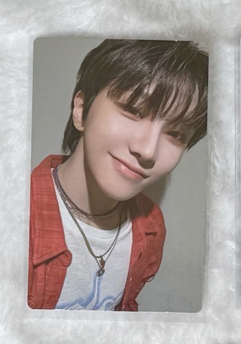 19.99 卡包卡 雲鶴