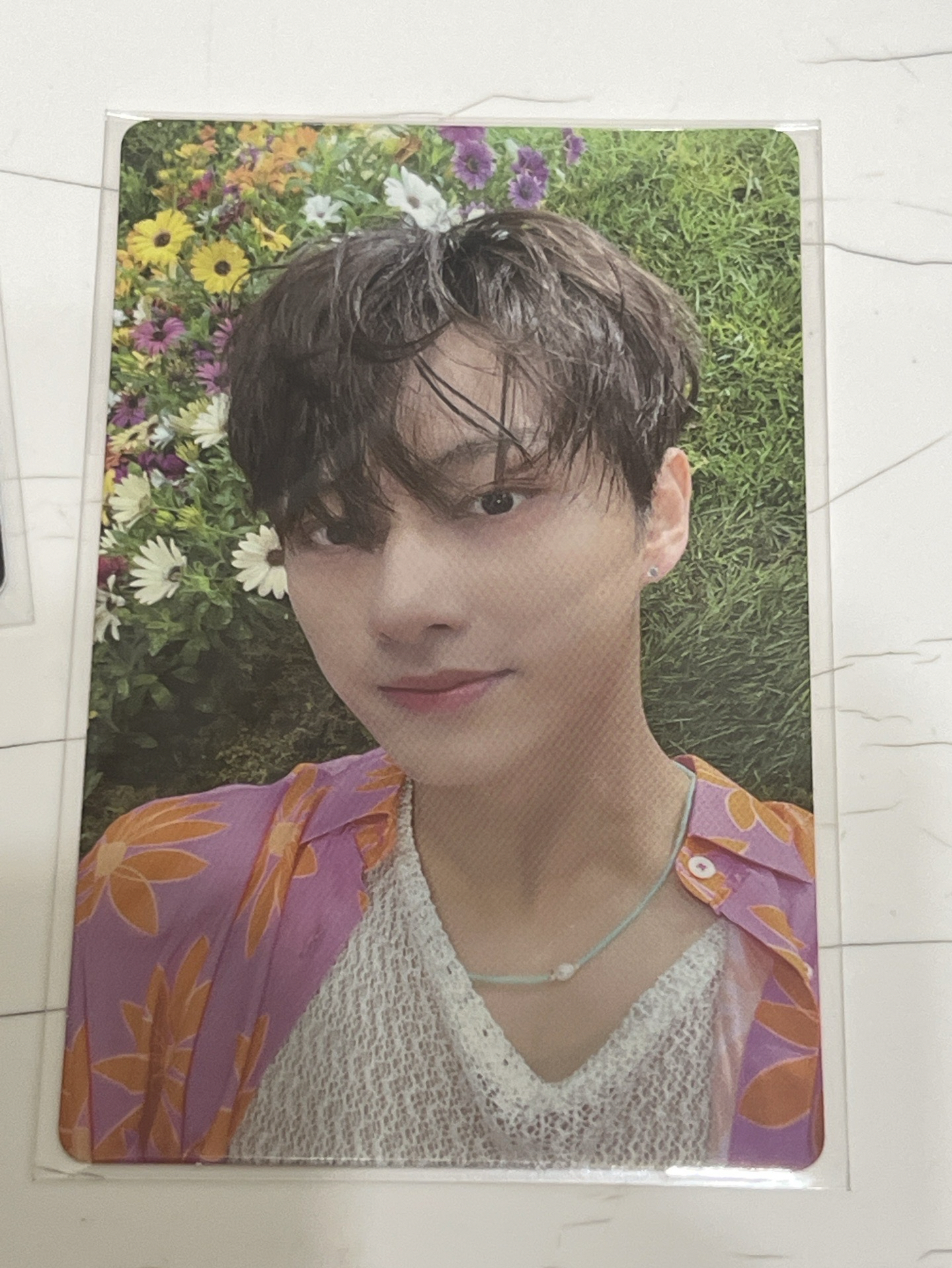 正四後續 俊 專卡