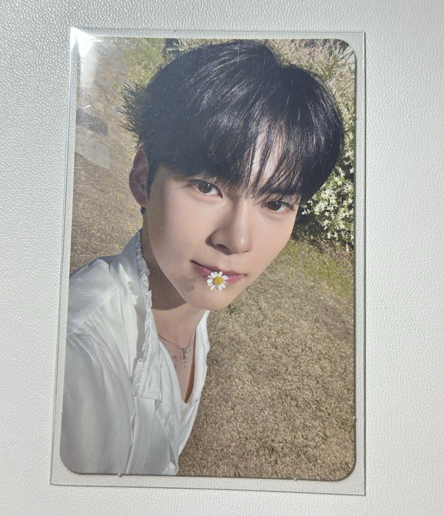 迷一叼花彬專卡