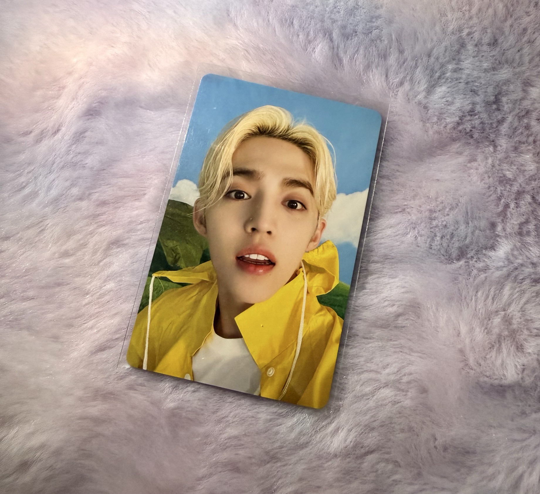 Seventeen S.coups 哲 小卡🍒