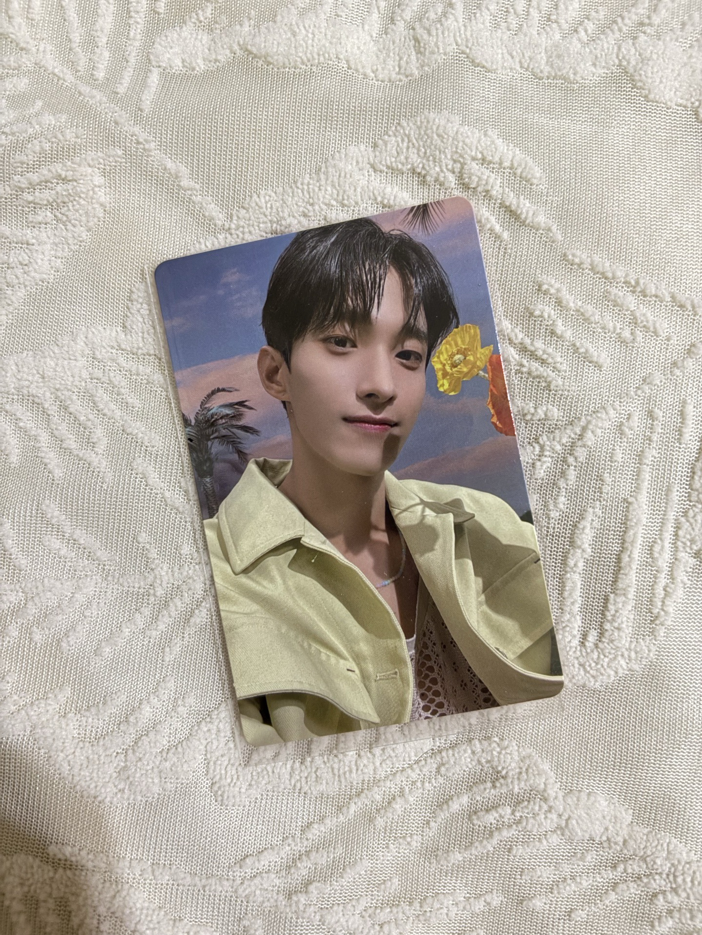 正規四後續 專卡 碩珉