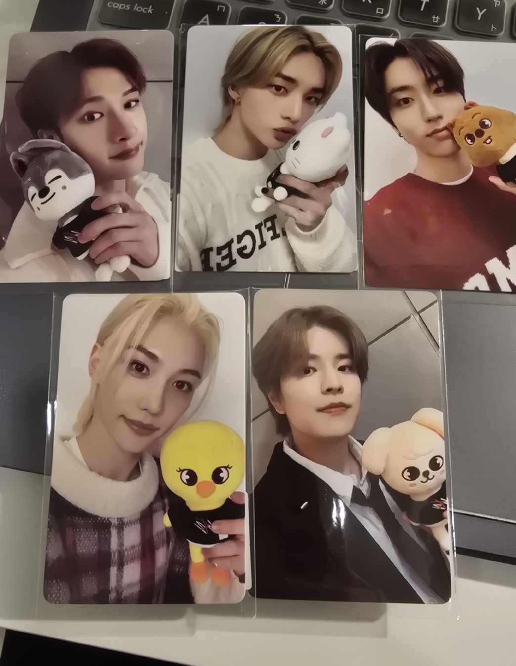 樂-STAR kms 2.0 簽售卡