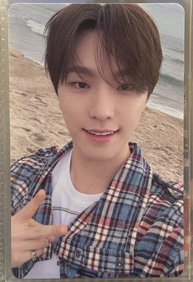 DINO 消費期限 wvs 東京 場限卡 