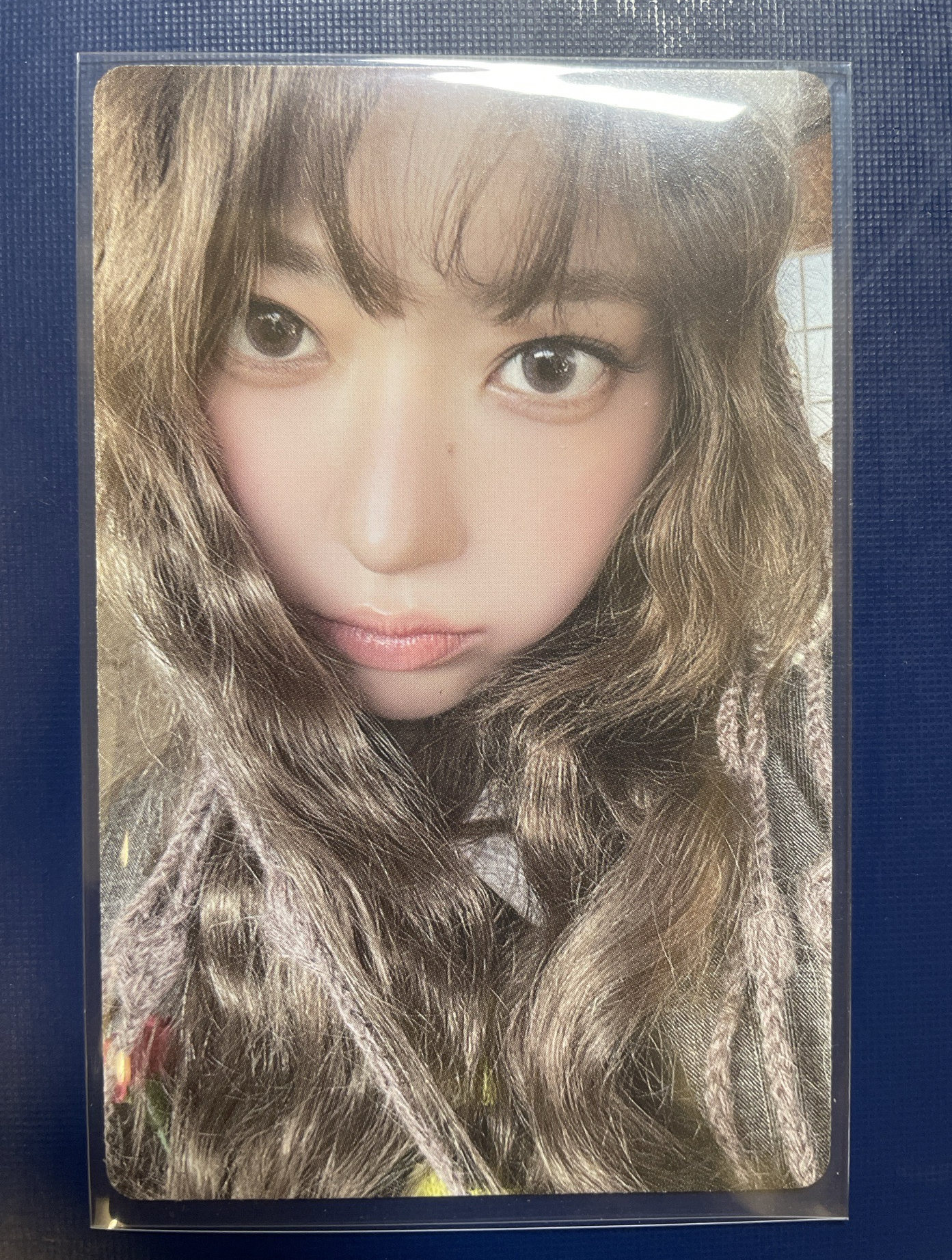HOT 專卡 sakura 
